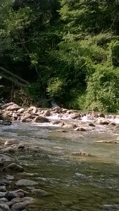 WP_20150721_001